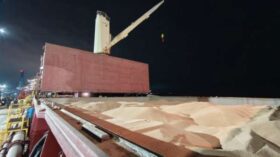 Экспорт зерна из портов Ленинградской области вырос в 14 раз
